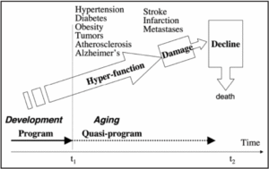 Mikhail Blagosklonny’s Pioneering Work on Rapamycin and Anti-Aging: Explore mTOR Inhibition for Longevity